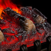 Очаг RealFlame 3D Oregan